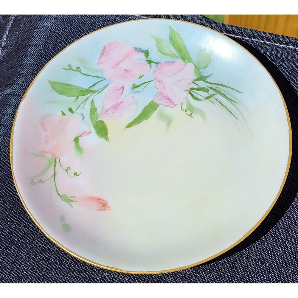 Antique Small Plate‎ 1857-1920 Hutschenreuther Selb Bavaria Germany Hand Painted